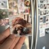 button magnet showcase blur